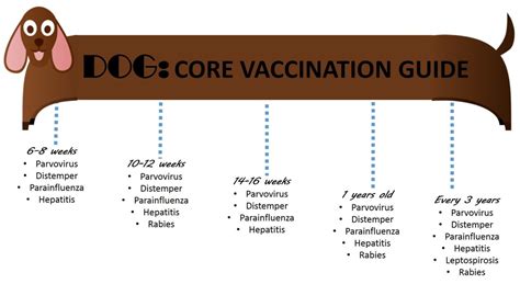 A variety of vaccinations are available for several conditions. dog Vaccines