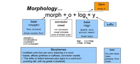 What Is Morphology A Knowledge Archive