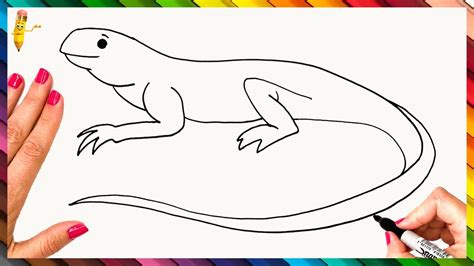 How To Draw A Lizard Step By Step 🦎 Lizard Drawing Easy Youtube
