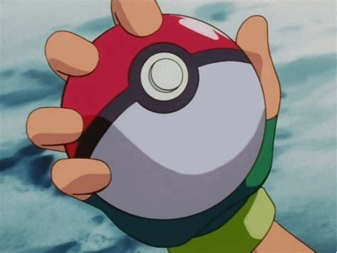 Theory Whats Inside A Pokéball Pokémon Amino