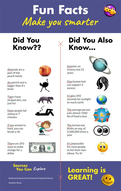 Xooloo - Fun Facts Help Keep Your Brain Connecting!