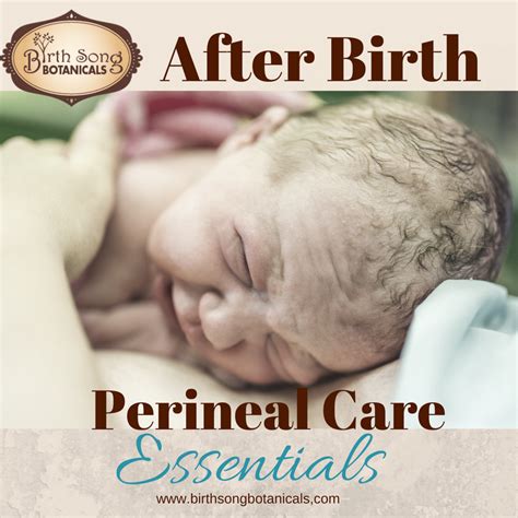 Perineal Care After Childbirth Birth Song Botanicals Co