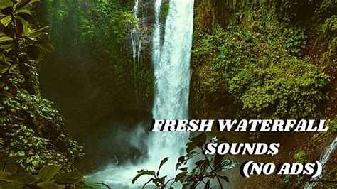Waterfall Sounds Waterfall And Jungle Sounds Relaxing Meditation Music
