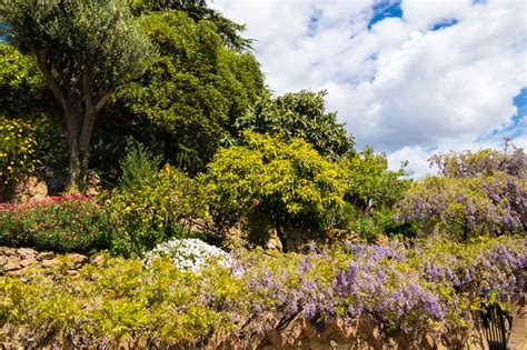 Eher pragmatisch, als weltanschaulich, keine extremen veganer oder familienlandsitze nach anastasia oder dgl. Botanischer Garten In Barcelona Spanien Stockfoto - Bild ...
