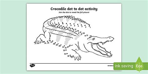 Crocodile Facts Crafts And Activities For Kids Twinkl