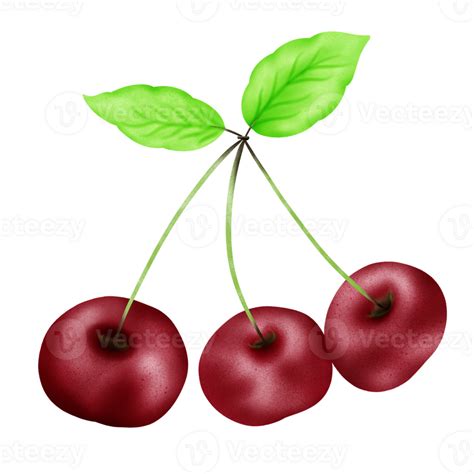 Red Cherry Fruit 26972861 Png