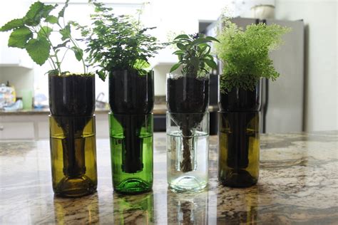 Once the small greenhouse is exposed to too much heat, the plants can burn. How to Make Recycled Wine Bottles into the Perfect Planter ...