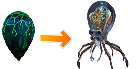 Every Creature Egg And Where To Find Them In Subnautica