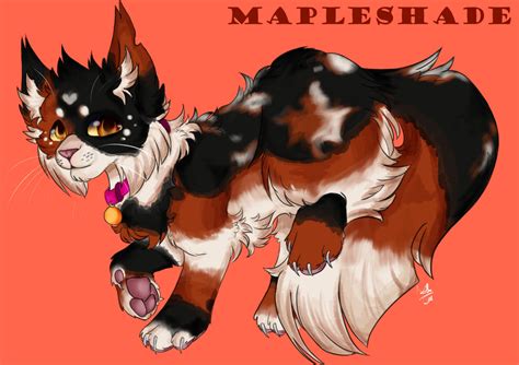 Mapleshade As A Kittypet Warrior Cats
