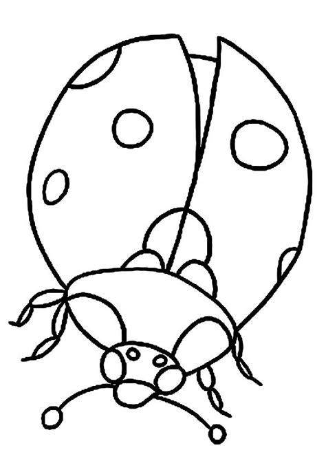 This coloring page features a caterpillar that eats a variety of foods before emerging as a butterfly. 15 Wonderful Eric Carle Coloring Pages Your Toddler Will ...