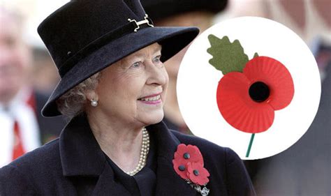 Why Do We Wear Red Poppies On Remembrance Sunday And How To Wear Them Uk News Uk