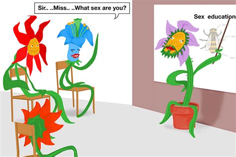 Flower Has Male Stamen Female Stigma Reproductive Organs