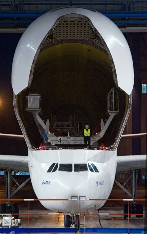 Airbus uses beluga aircraft for transporting large assembled sections of the fuselage and wings of beluga has regularly transported the fuselage of an a340, the wings of the airbus a340 or two. Airbus lanza el A330 Beluga | Fly News