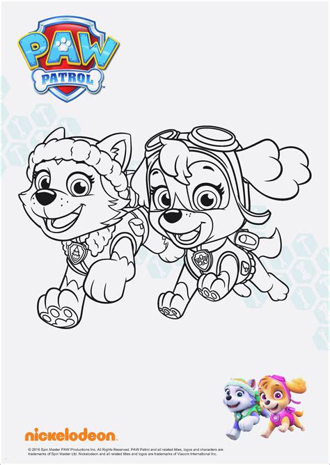 Paw patrol ausmalbilder mytoys blog. 99 Einzigartig Paw Patrol Ausmalbilder Tracker Stock | Kinder Bilder