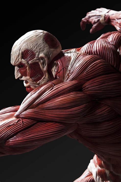 With armin being gravely wounded with his skin nearly being burnt off while he attempted to take down bertholdt, the. U.M.C.F. Colossal Titan - My Anime Shelf