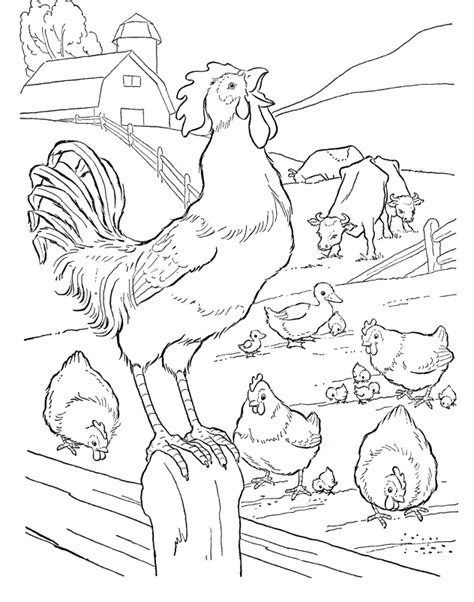 Rooster Coloring Pages Coloring Home
