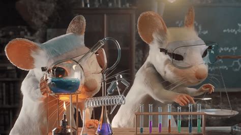 A Mouse Experimenting Is Cute Experimenting On One Isnt Peta
