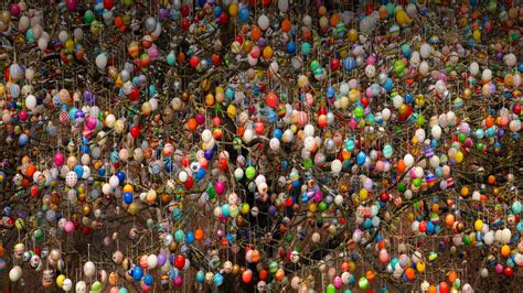 Easter Tree Bing Wallpaper Download