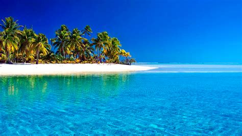 Tropical Paradise Wallpapers Themes10win