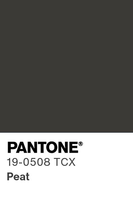 Pantone® Usa Pantone® 19 0508 Tcx Find A Pantone Color Quick