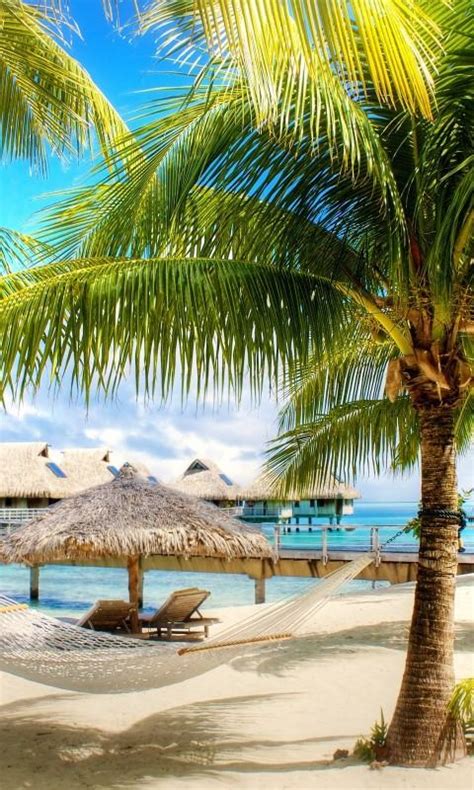 Free The Magnificent Tropical Beach Live Wallpaper Apk