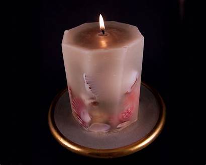 Candles Candle Amazing Seashell Cool