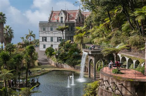 Botanischer garten travelers' reviews, business hours, introduction, open hours. Madeira Botanischer Garten Foto & Bild | europe, portugal ...