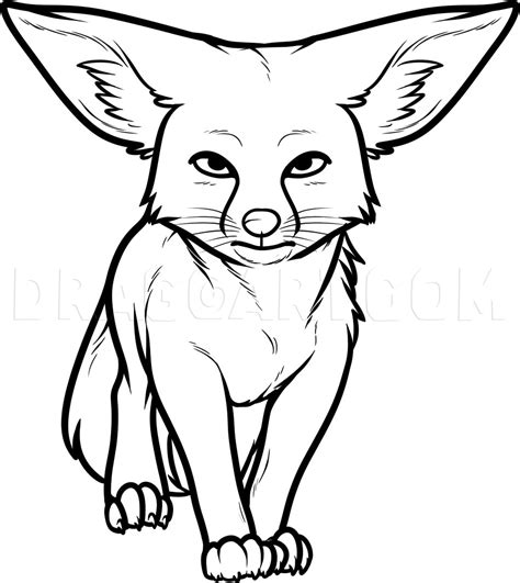 How To Draw A Kit Fox Kit Fox Step By Step Drawing Guide By Dawn