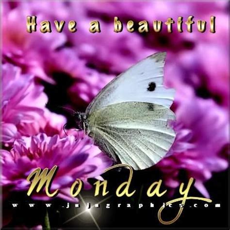 102 happy monday beach images. Have A Beautiful Monday Pictures, Photos, and Images for ...