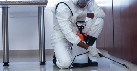 Is a licensed, bonded, and insured hvac company which specializes in services, sales. How And Where To Study To Become A Pest Control Technician ...