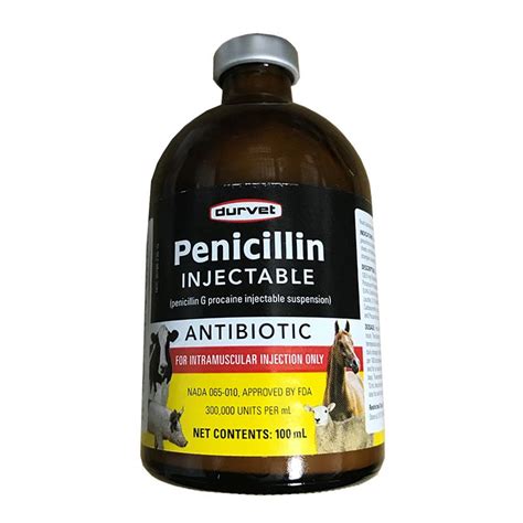 Durvet Penicillin Injectable (Penicillin G Procaine) | Allivet