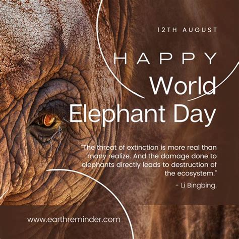 World Elephant Day 2024 Theme Song - daveta fleurette