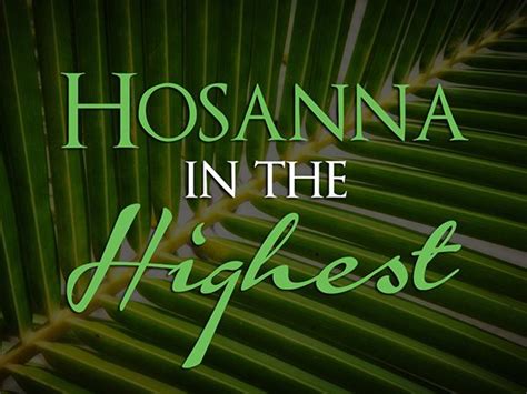 Zin bedoeling wat je belangrijk vindt vb: 17 Best images about Palm Sunday on Pinterest | Donkeys ...