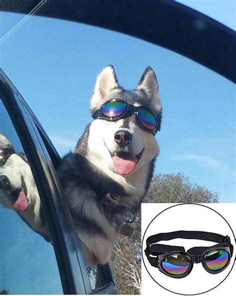 Pin On Dog Sunglasses