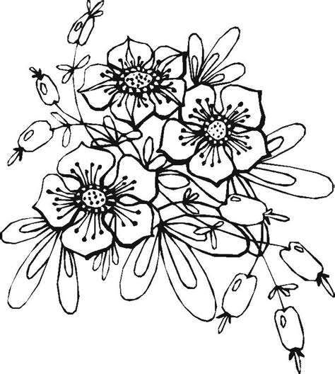 Wir haben ein paar tipps für sie, mit denen sie garantiert eine schöne außerdem gibt es zahlreiche kreidemarker. Blumen ranken malvorlagen kostenlos zum ausdrucken ...