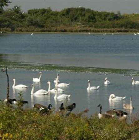 Treasures of jamaica bay | going in with brian vines. Jamaica Bay Wildlife Refuge | QEDC | It's In Queens