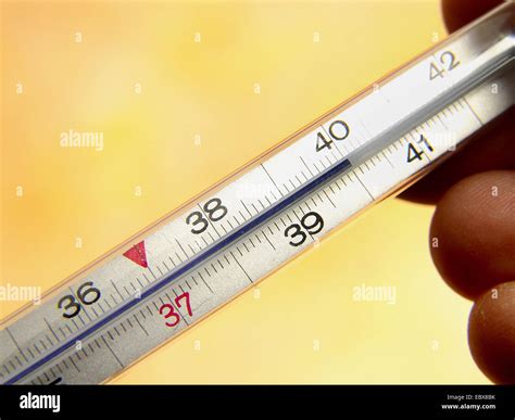 Termometro Marcando 40 Graus De Febre