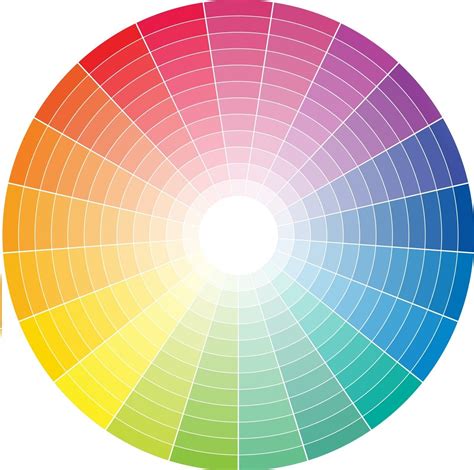 Circulo Cromatico De Colores Calidos Walllaurelesromerorodriguepagesdev