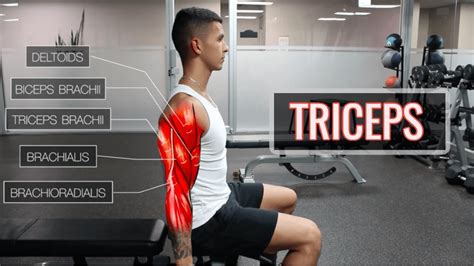 Different Types Of Tricep Workouts Off 56