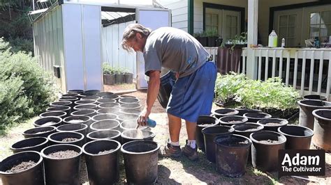 These packages are required for certain applications and components to work. Nutrient Supplements for Soil Preparation - by Adam The ...