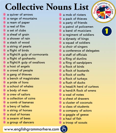 Collective Nouns Definition And Examples English Grammar Here