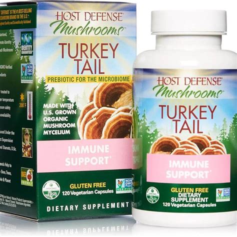 the power of the 5 best turkey tail mushroom supplements