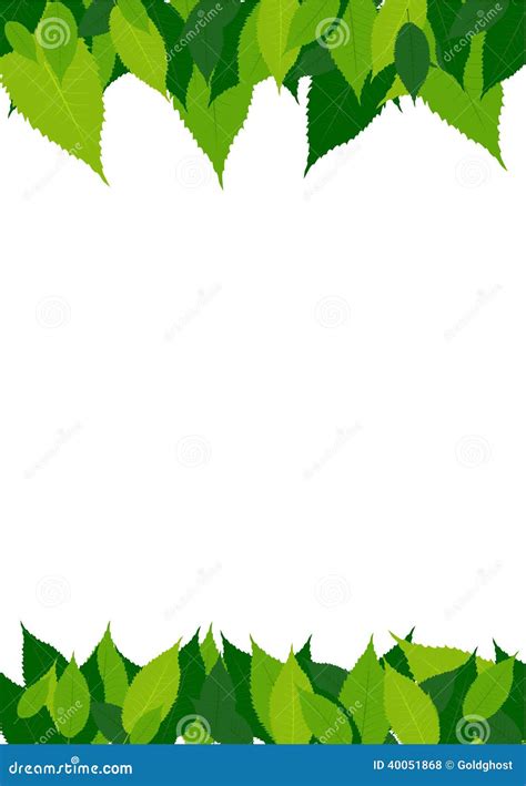 Green Leaves Border Stock Vector Image 40051868