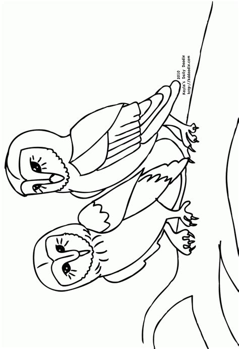 Nocturnal Animals Coloring Sheet Coloring Pages