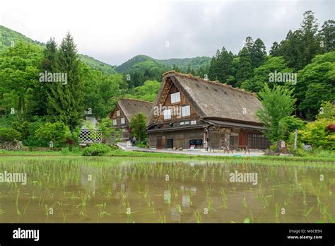 Shirakawago Shirakawa Village World Heritage Village In Summer