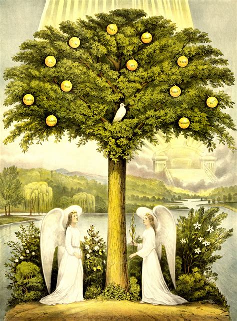Maybe you would like to learn more about one of these? Tree Of Life Free Stock Photo - Public Domain Pictures