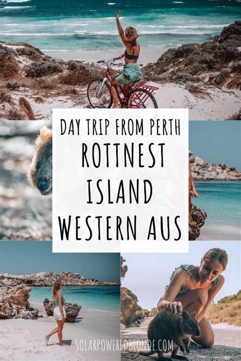 A Perfect Day Trip To Rottnest Island From Perth Western