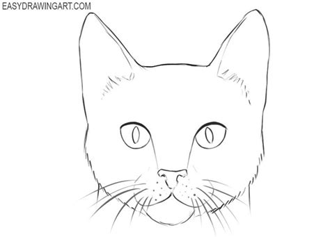 How To Draw A Cat Face Easy Drawing Art Cat Face Drawing Cats Art