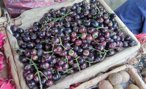 Hal ini tidak sepenuhnya benar dan tidak juga salah. Jus Buah Peredah Jerawat : 7 Jus Ajaib Untuk Penderita ...