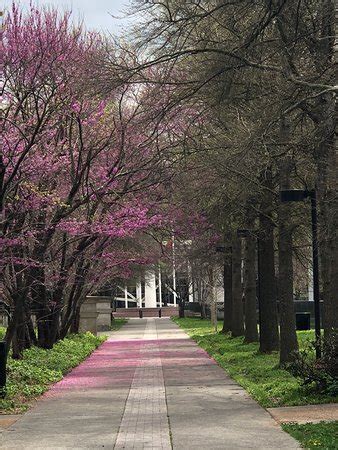 Maybe you would like to learn more about one of these? Bicentennial Capitol Mall State Park (Nashville) - All You ...